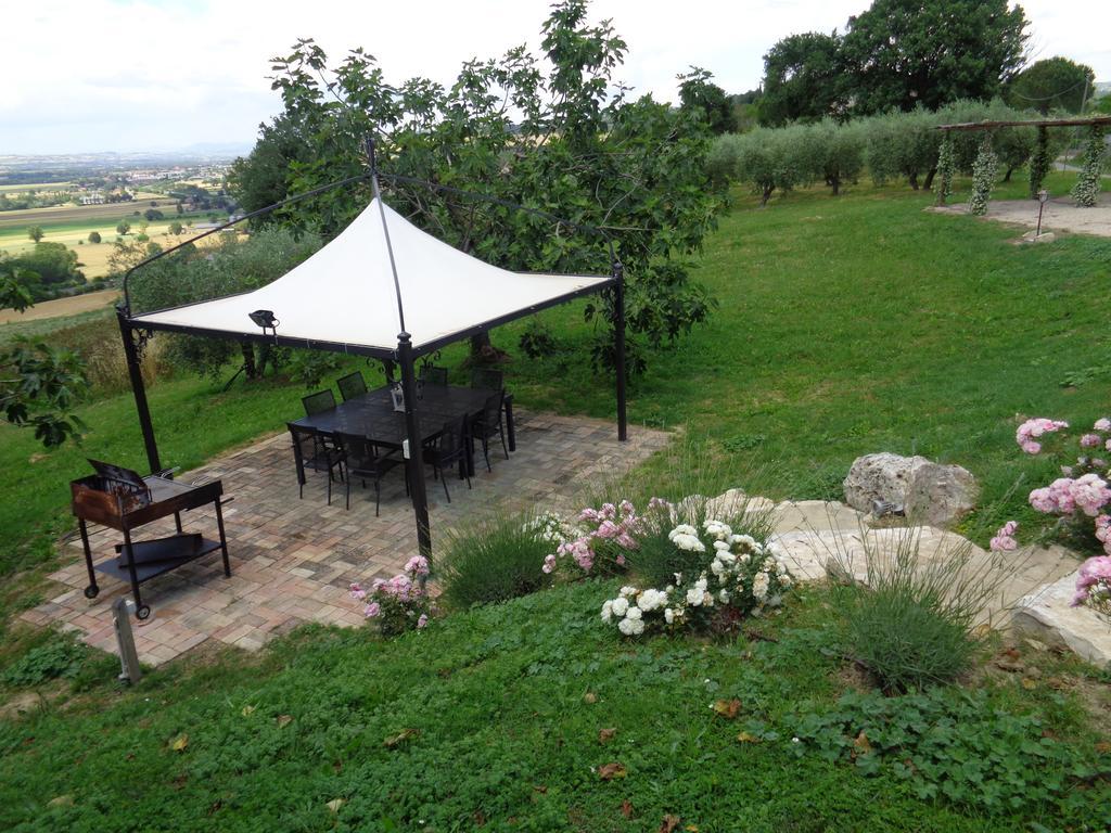 Agriturismo La Torraccia Тоди Экстерьер фото